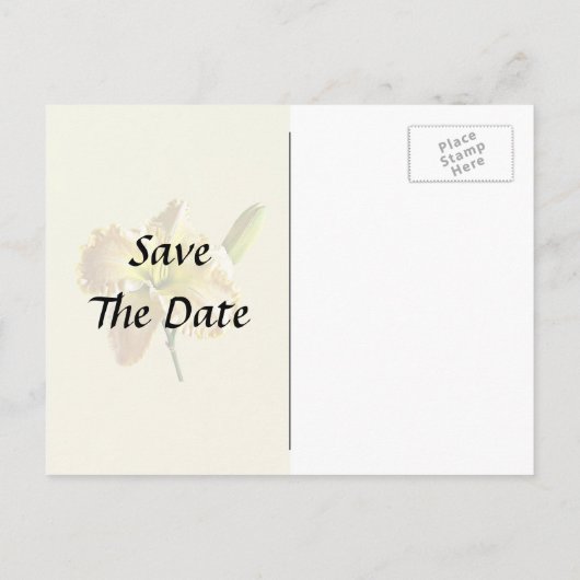 イエローデイリー結婚の供給 案内ポストカード (裏面)