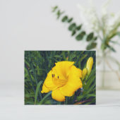 イエローデイリー13空白の葉書 ポストカード (スタンド正面)