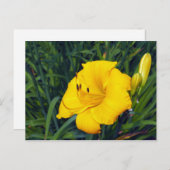 イエローデイリー13空白の葉書 ポストカード (正面/裏面)