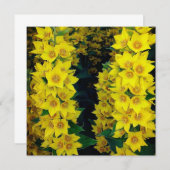 イエローデルフィニウム絹の花のカー空白のド (正面/裏面)