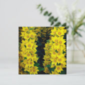 イエローデルフィニウム絹の花のカー空白のド (スタンド正面)