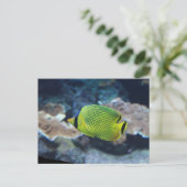 イエローネオンフィッシュ ポストカード (スタンド正面)