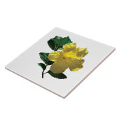 イエローハイビスカスインサンシャイン タイル (側面)