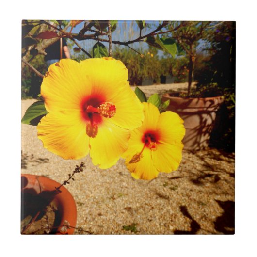 イエローハイビスカスセラミックタイル タイル (正面)