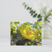 イエローハイビスカスハワイ州フラワー ポストカード (スタンド正面)