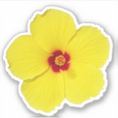 イエローハイビスカスフラワーアート シール (正面)