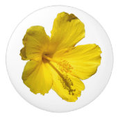 イエローハイビスカスフラワーボタニカルフォト セラミックノブ (正面)