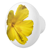 イエローハイビスカスフラワーボタニカルフォト セラミックノブ (右)