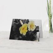 イエローハイビスカス写真「ハッピーバースデー!」 あいさつ カード (正面)