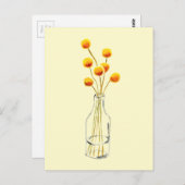 イエローハッピービリーボタン花オーストラリア美術 ポストカード (正面/裏面)