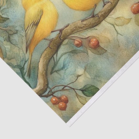 イエローハンマーソングバードの分離 薄葉紙 (詳細)