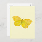 イエローバタフライコモン飛んでいるブリムストーン シーズンポストカード (正面/裏面)
