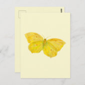 イエローバタフライコモン飛んでいるブリムストーン ポストカード (正面/裏面)