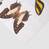 イエローバタフライコレクションデクページティッシュペーパー 薄葉紙 (詳細)