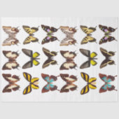 イエローバタフライコレクションデクページティッシュペーパー 薄葉紙 (正面)