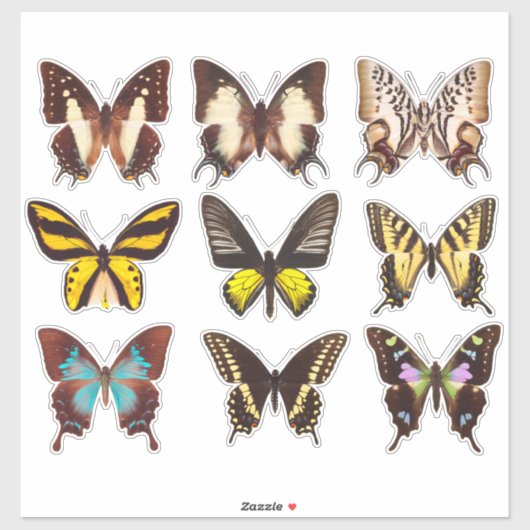 イエローバタフライコレクション14"ビニールステッカー シール (シート)
