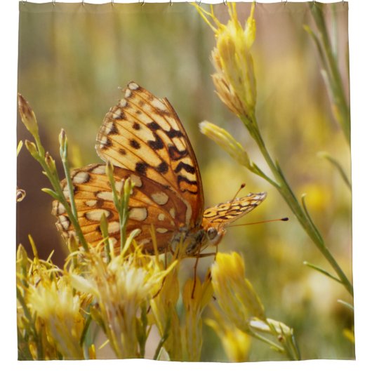 イエローバタフライシオンNPユタシャワーカーテン シャワーカーテン (正面)