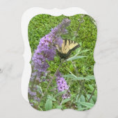 イエローバタフライノートカード (正面/裏面)