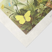 イエローバタフライフローラエフェメラデクペフランスのージ 薄葉紙 (詳細)