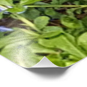 イエローバタフライラベンダーブループラムバゴフラワー フォトプリント            (角)