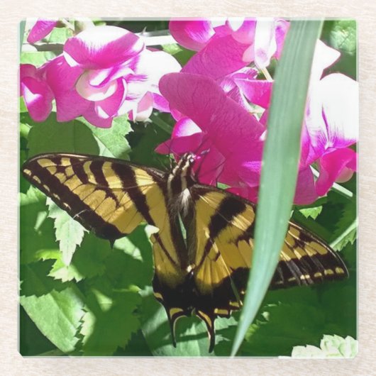 イエローバタフライ春 ガラスコースター (正面)