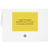 イエローバタフライ聖なる書物、 経典カード番号6:25 (裏面横)