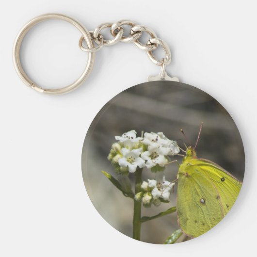 イエローバタフライ キーホルダー (正面)