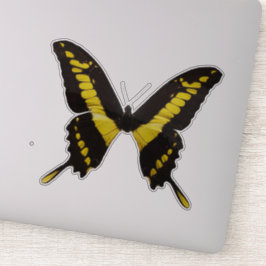 イエローバタフライ シール