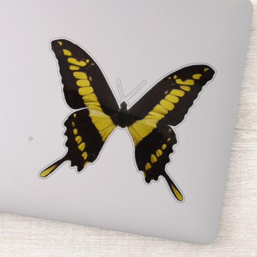 イエローバタフライ シール (詳細)