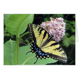 イエローバタフライ(テンプレート)カード