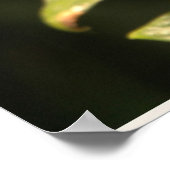 イエローバタフライ ポスター (角)