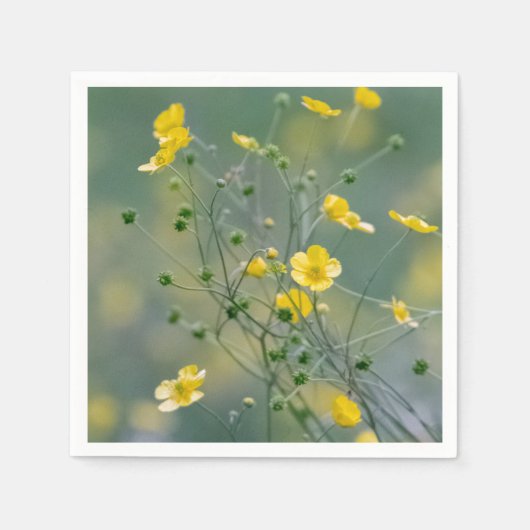 イエローバターカップ スタンダードカクテルナプキン (正面)