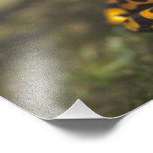 イエローバンドのポイズンダーツカエルの樹状突起 フォトプリント (角)