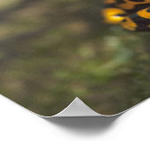 イエローバンドのポイズンダーツカエルの樹状突起 ポスター (角)