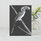 イエローバードホルンビル、カラハリ動物フラットカード 招待状 (スタンド正面)