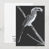 イエローバードホルンビル、カラハリ動物フラットカード 招待状 (正面/裏面)