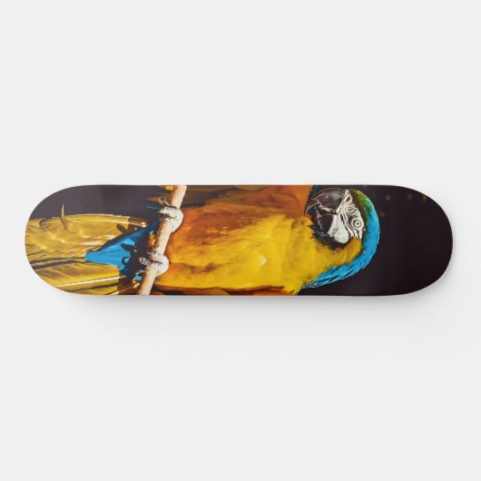 イエローバードワイルドライフかわいらしマコー スケートボード (横)