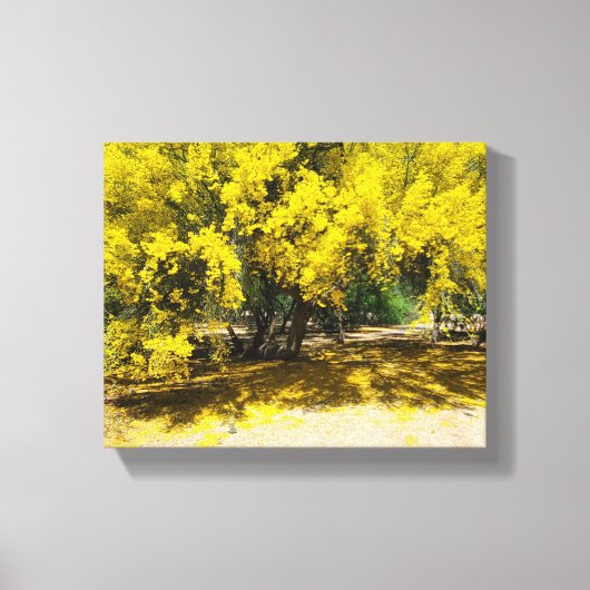 イエローパロヴェルデツリー キャンバスプリント (正面)