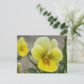 イエローパンジーはがき ポストカード (スタンド正面)