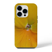 イエローパンジー