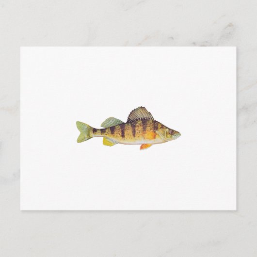 イエローパーチ（無題） ポストカード (正面)