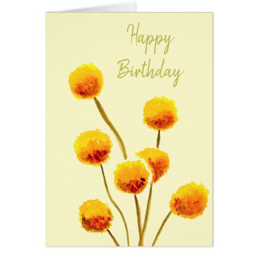 イエロービリーボタン先住民オーストラリア花 (正面)