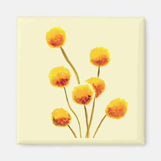 イエロービリーボタン先住民オーストラリア花 マグネット (正面)