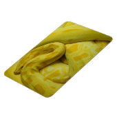 イエロービルマのパイソン マグネット (左側)