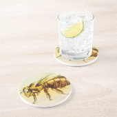 イエロービーサンドストーンコースター、リアルスケッチ コースター (側面)