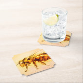 イエロービー型コースター、リアルスケッチ ペーパーコースター (インサイチュ)