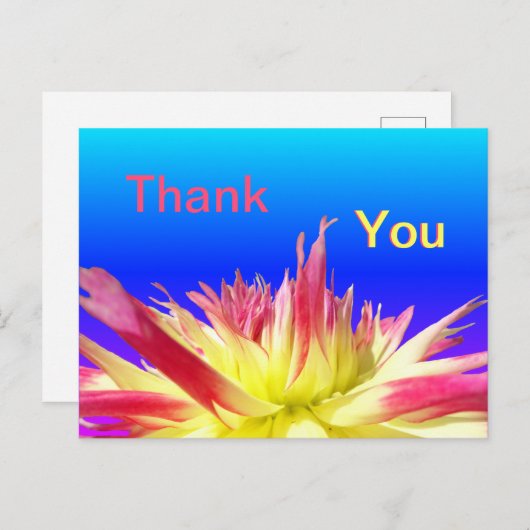 イエローピンクダリアブルーありがとうはがき ポストカード (正面/裏面)