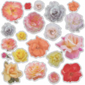 イエローピンクレッドオレンジ切り出しバラ写真 シール (正面)