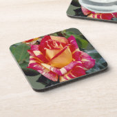 イエローピンクローズコースター コースター (左側)