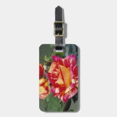 イエローピンクローズラゲッジタグ ラゲッジタグ (正面縦)